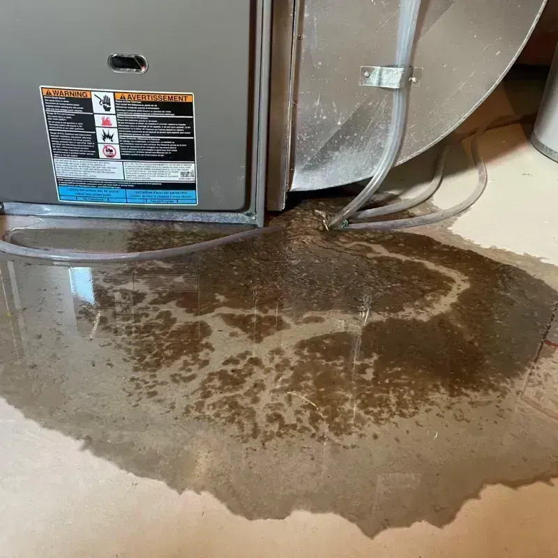 Appliance Leak Cleanup in Bedford, KY